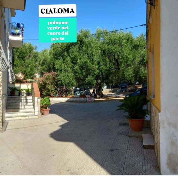 Cialoma Full Green 마리나디카메로타 객실 사진